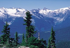 The Wildlife of Canada