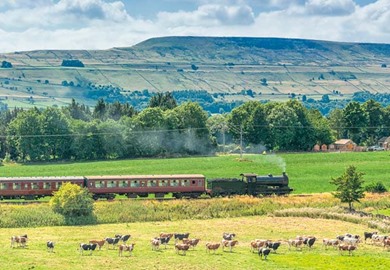 Castle Howard Castle Howard