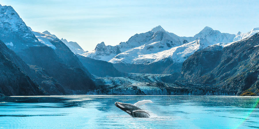 Rockies Lake and Mountains Glacier Bay National Park