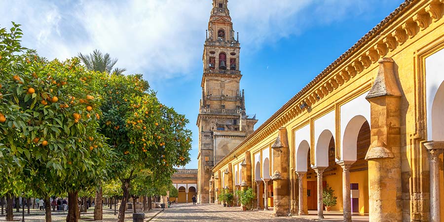 A bell tower rises above the beautiful ornate arches and lemon trees of Córdoba. 