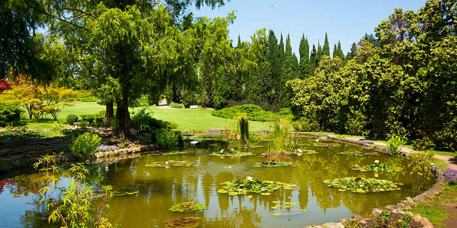 Wandering amid the Sigurtà Botanical Gardens